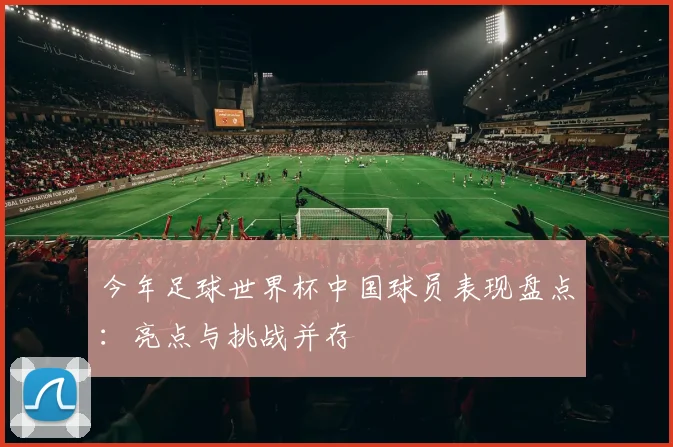 今年足球世界杯中国球员表现盘点：亮点与挑战并存