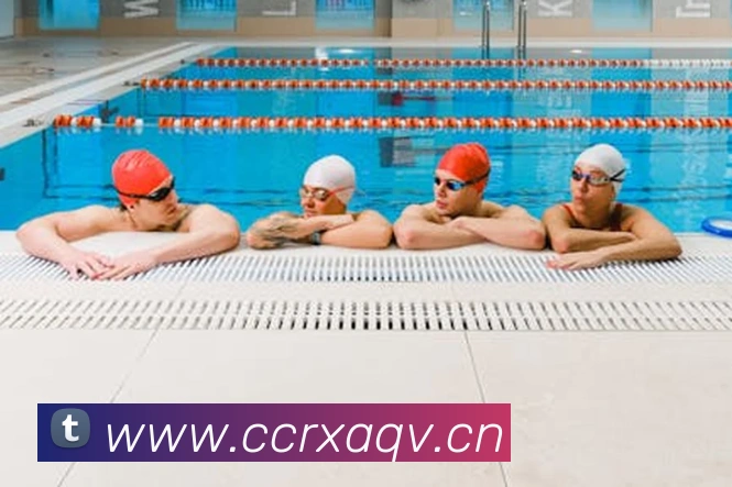 多媒体互动体验